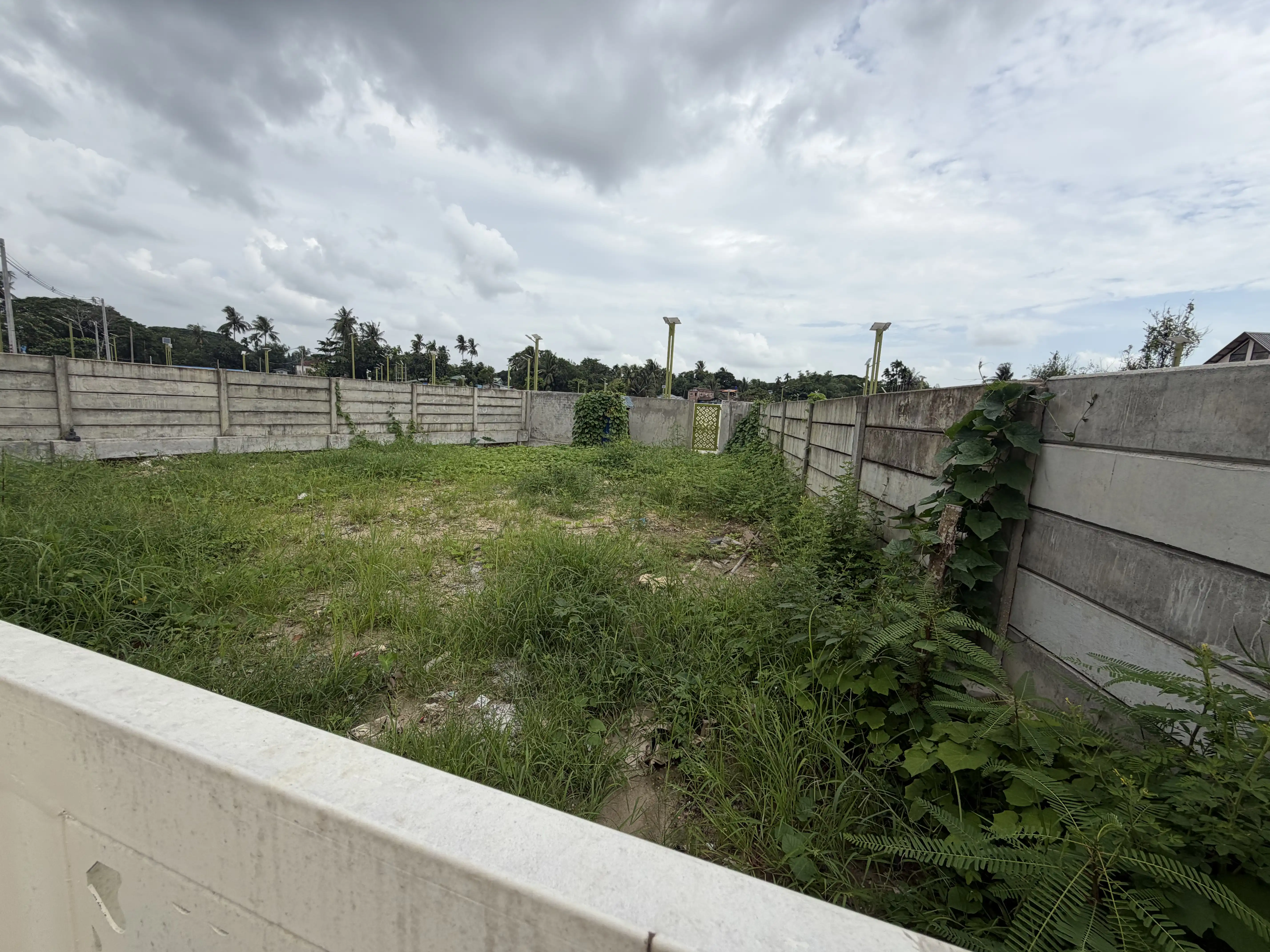 Lot 3B (The Palm Avenue)